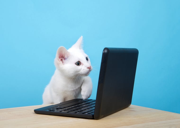 remote-work